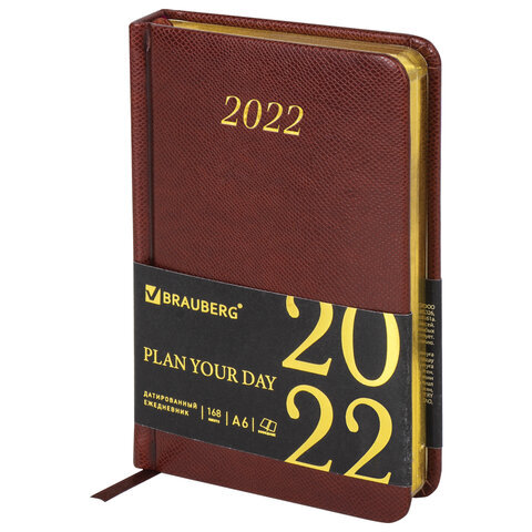 Ежедневник датированный 2022 МАЛЫЙ ФОРМАТ (100х150мм) А6, BRAUBERG Iguana ко, 112918