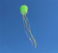 Воздушный змей «ОСЬМИНОГ» зеленый Bradex (DE 0438)