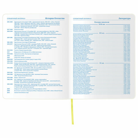 Дневник 1-11 класс 48 л., обложка кожзам (гибкая), термотиснение, фольга, BRAUBERG, Ф, 105968