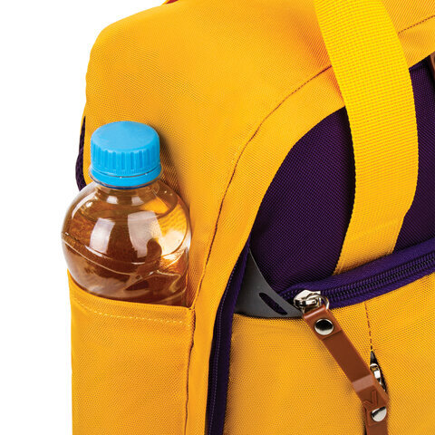 Рюкзак BRAUBERG FRIENDLY молодежный, горчично-фиолетовый, 37х26х13 см, 270093